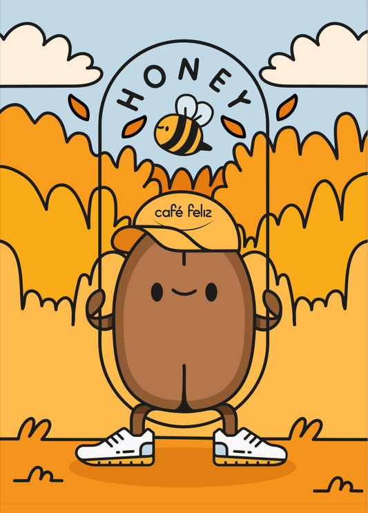 Chiapas Montecristo de Guerrero Honey