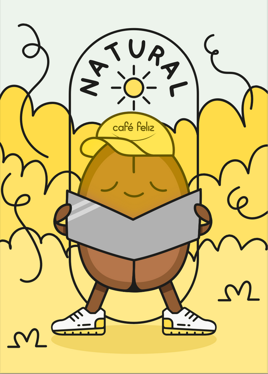 Amatepec - Estado de México